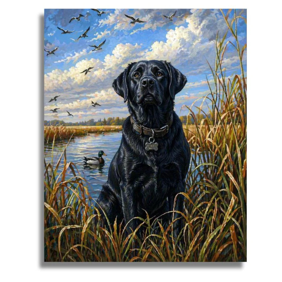 Black Labrador -  Paint by Numbers