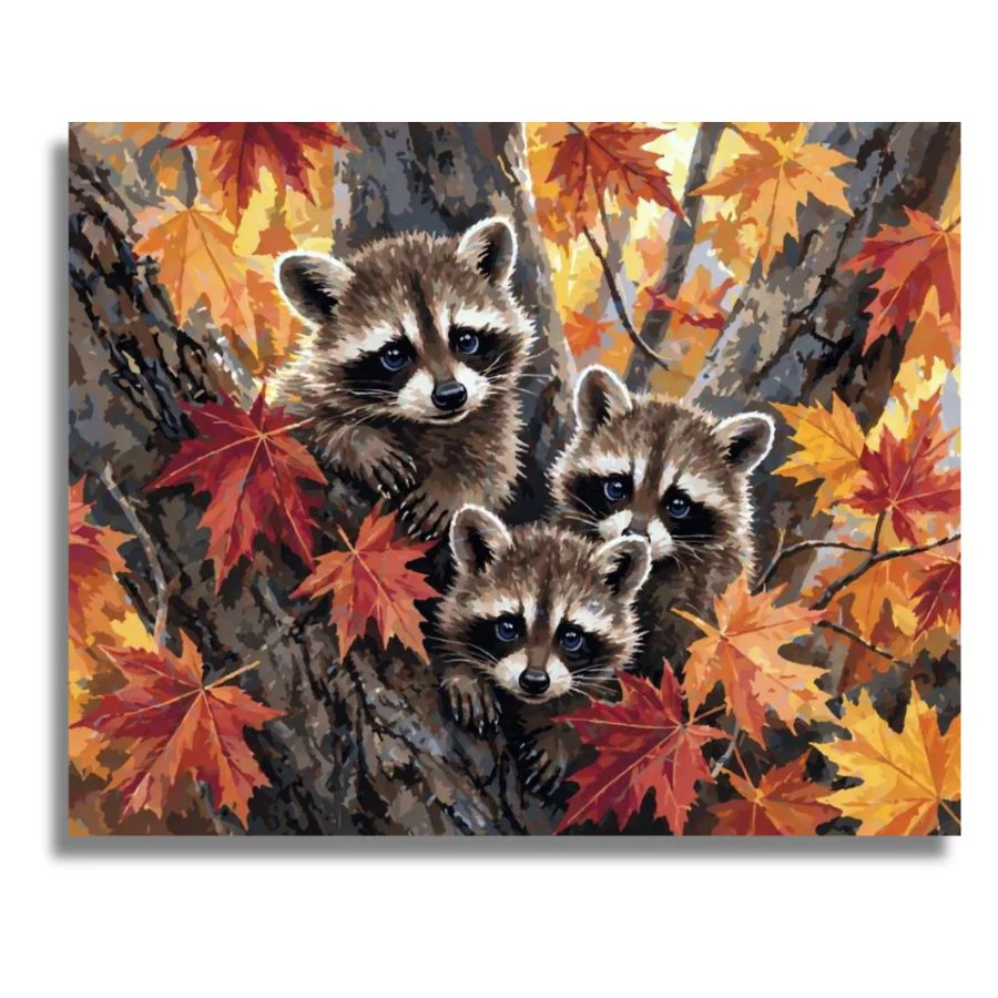 Forest Raccoon Family